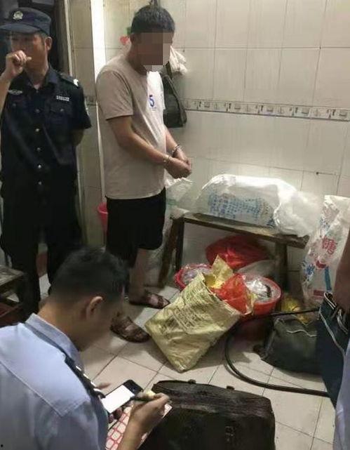 上犹学生爆料案件最新,真相揭开，正义终将到来